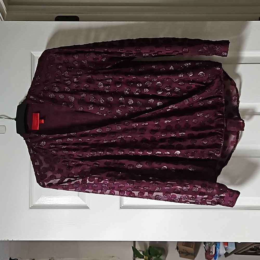 Jennifer Lopez sheer Purple blouse